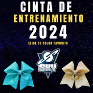 CINTA DE ENTRENAMIENTO 2024